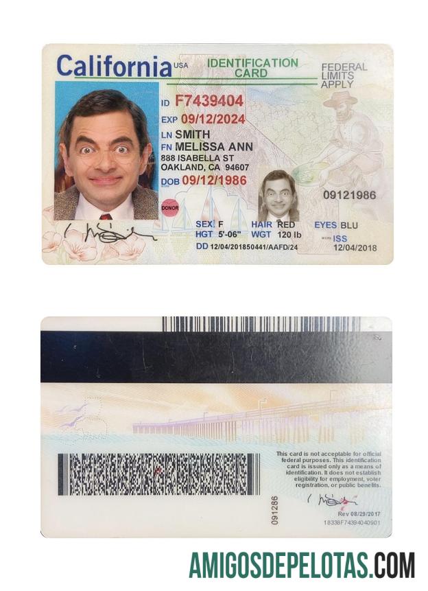 Modelo de cartão de identificação dos EUA Califórnia